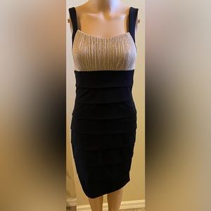 Enfocus Studio dress